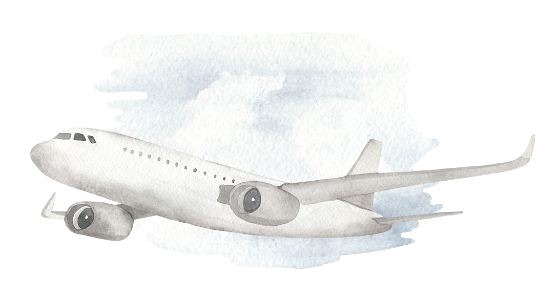 AVION (1)